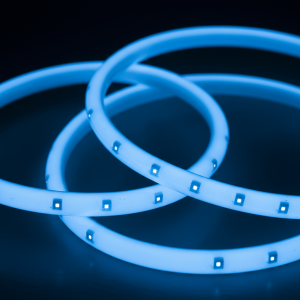 Custom Neon Logo Sign